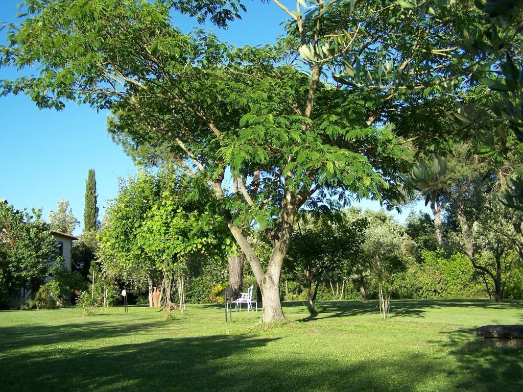 Ortali Country House Quarata Exterior foto